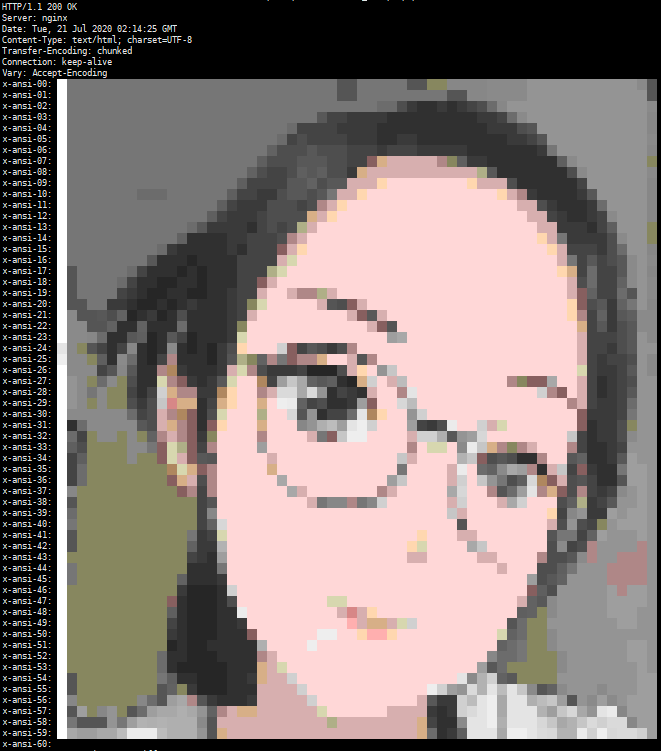 HTTP Ansi Picture HTTP Ansi Picture